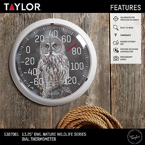 Taylor Nature Series Indoor Outdoor Owl Thermometer, Easy to Read Wall Decor for Patio, Pool, Yard, Garden or Garage, 13.25 Inch, Gray Bezel - style: Owl