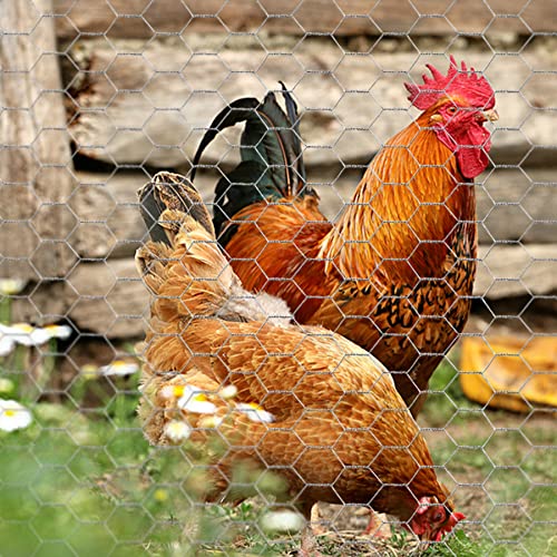 Chicken Wire 13.7 in x 236 in Poultry Wire Netting Hexagonal Galvanized Mesh Garden Fence Barrier for Craft Projects, Pet Rabbit Chicken Fencing (Pack of 3) - color: Silver, size: 13.7"x236"+0Ties (Pack of 3)
