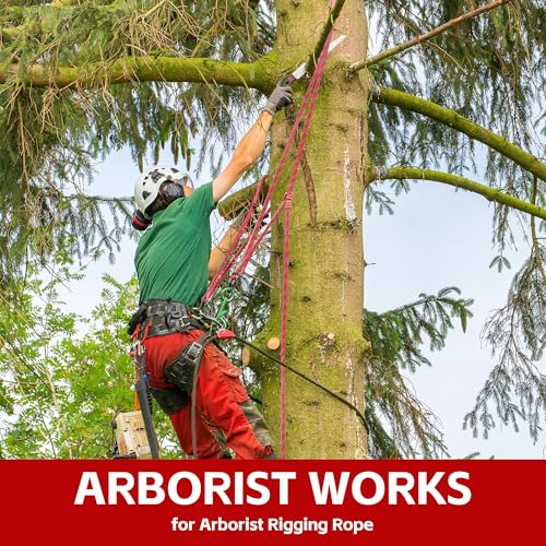 1/2in x 100ft Double Braided Arborist Rigging Rope, 48 Strands Polyester 8000LBS Heavy Duty Climbing Bull Rope for Tree Swing Rappelling Rescue Camping - size: 1/2in x 100ft, style: Red
