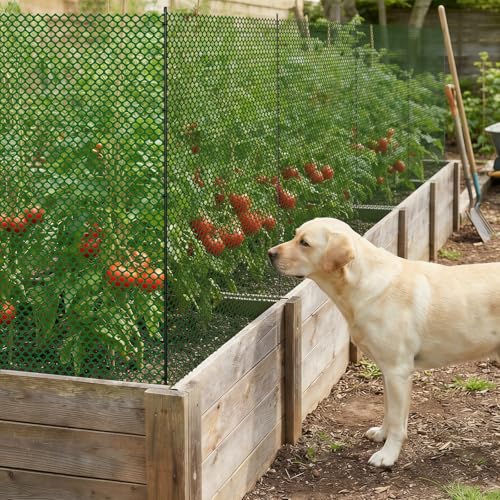 SUNYRISY 40in x 82ft Garden Mesh Fence Temporary Fencing | Outdoor Dog Fence, Chicken Fencing Plastic Netting Animal Barrier for Backyard Dog Poultry Pet Protection, Green Diamond - color: Green Diamond