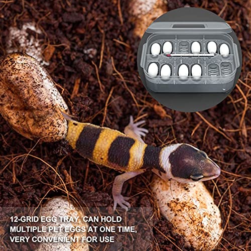 Still Awake Reptile Egg Incubator Professional Hatcher Hatching Box Case Tray Plastic Breeding Incubator for Hatching Snake,Lizards, Reptiles,Gecko(12 Slots with Thermometer) - size: 12 Slots With Thermometer