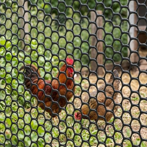 Gardzen Plastic Chicken Wire Mesh 16in x 20ft with 40 pcs Ties | Durable Chicken Fence for Poultry, Garden Protection & DIY Crafting, Heavy-Duty Mesh Netting for Outdoor & Indoor Use - size: 16In x 20ft