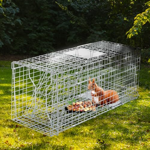 Outvita Live Animal Cage Trap, 32" Heavy Duty Folding Steel Cage | Catch Release Humane Rodent Cage for Rabbits Stray Cat Squirrel Raccoon Mole Gopher Chicken Opossum Skunk & Chipmunks