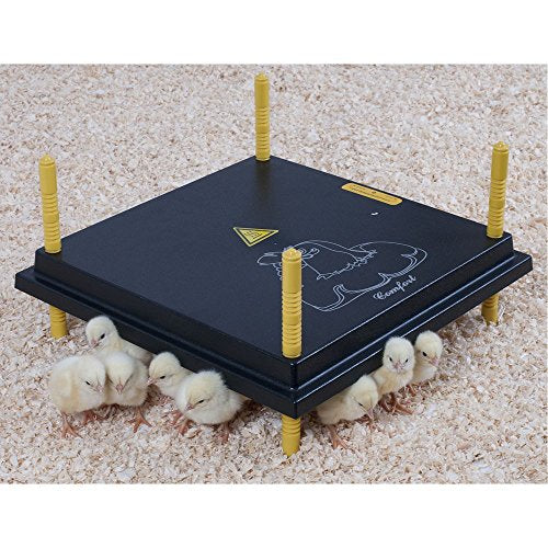 Premier 1 Chick Heating Plate Kit – 16"x16", Warms Up to 30 Chicks | Includes anti-perch cover. Adjustable push-button legs. Alternative to heat lamp. For chicks, ducklings, goslings & poults.