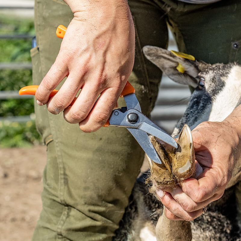 Premier 1 ExoTrim™ Serrated Hoof Trimmer (Pack of 2) - size: 7.5 inches (Length) (Pack of 2)