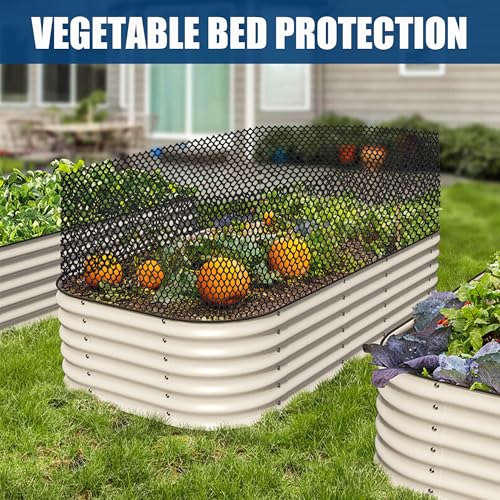 Heavy Duty Black Plastic Chicken Wire Mesh 15.7in*10ft | Easy to cut and bend, no sharp edges. Ideal for poultry, rabbits, dogs, garden beds, balcony screens, floral guards & DIY. - color: 10ft Black