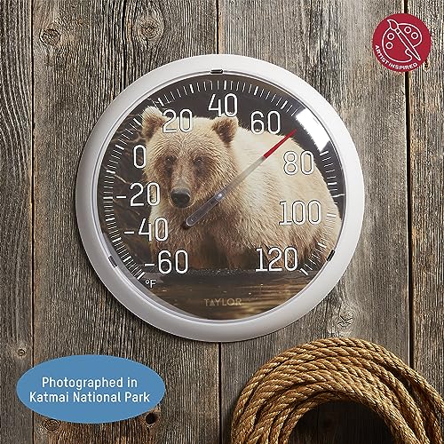 Taylor Nature Series Bear Indoor Outdoor Dial Thermometer, Easy to Read Wall Decor for Patio, Pool, Yard, Garden or Garage, 13.25 Inch, Tan Bezel - style: Bear