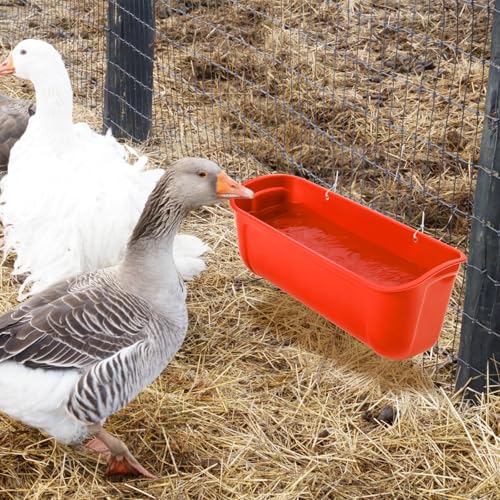 Cedilis 4 Pack Hanging Duck Feeder, Chicken Fence Feed Trough with Clips, Poultry Livestock Food Water Feeding Container for Goat, Goose, Rabbits, Sheep, Each Feeder 2.5 Quarts