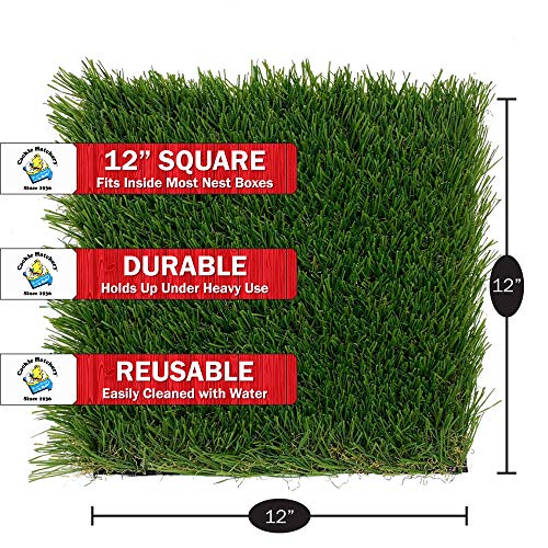 Cackle Hatchery Laying Hen Nest Box Turf - Easy to Clean & Lasts for Years in Chicken Nesting Boxes (6 Pack)