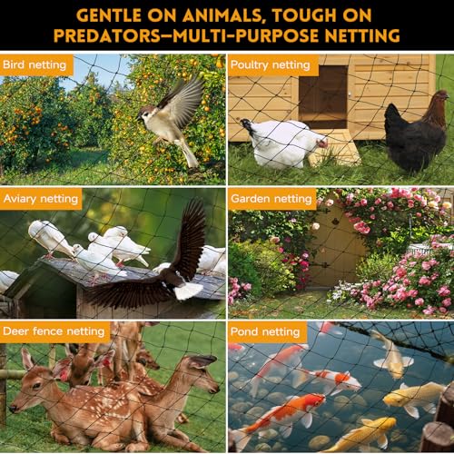 Heavy Knotted Poultry Netting for Chicken Run, 2" Mesh, 50x50 ft HDPE Chicken Coop Netting Cover, Hawk Netting for Chickens, Guards Poultry, Pets & Birds Against Raccoons & Predators - style: 50' x 50' - 2"