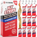 Fly Strips Indoor Sticky Hanging 10pk with Pins. Non Toxic Outdoor Fly Trap Indoor for Home. Flies Tape Paper Trap Ribbon Roll for House Gnat Fruit and Housefly. Bug Catchers for Inside Home Flypaper. - size: 10 count