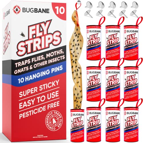 Fly Strips Indoor Sticky Hanging 10pk with Pins. Non Toxic Outdoor Fly Trap Indoor for Home. Flies Tape Paper Trap Ribbon Roll for House Gnat Fruit and Housefly. Bug Catchers for Inside Home Flypaper. - size: 10 count