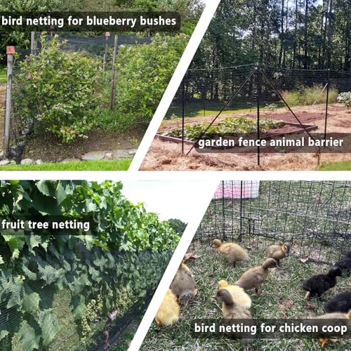 POYEE 10x10ft Bird Netting, 1/2-inch Square Mesh Garden Netting | Animal Barrier for Vegetables, Fruit Trees, Blueberry Bushes, Strawberries – Protects against Deer, Chickens, Squirrels - size: 10x10ft