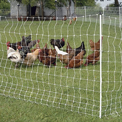 Premier 1 PoultryNet® Electric Fence for Chickens – 42"H x 164'L | White/black, step-in posts. For chickens, ducks & geese. Keeps out coyotes, foxes & dogs. Energizer sold separately.