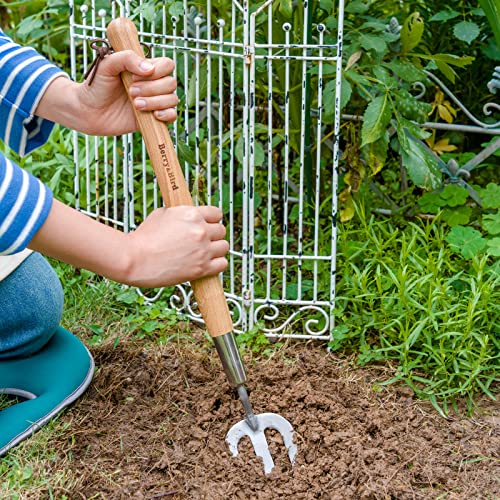 Berry&Bird Garden Hand Fork, 22.6 In Long Handle Stainless Steel Weed Fork - size: Hand Fork
