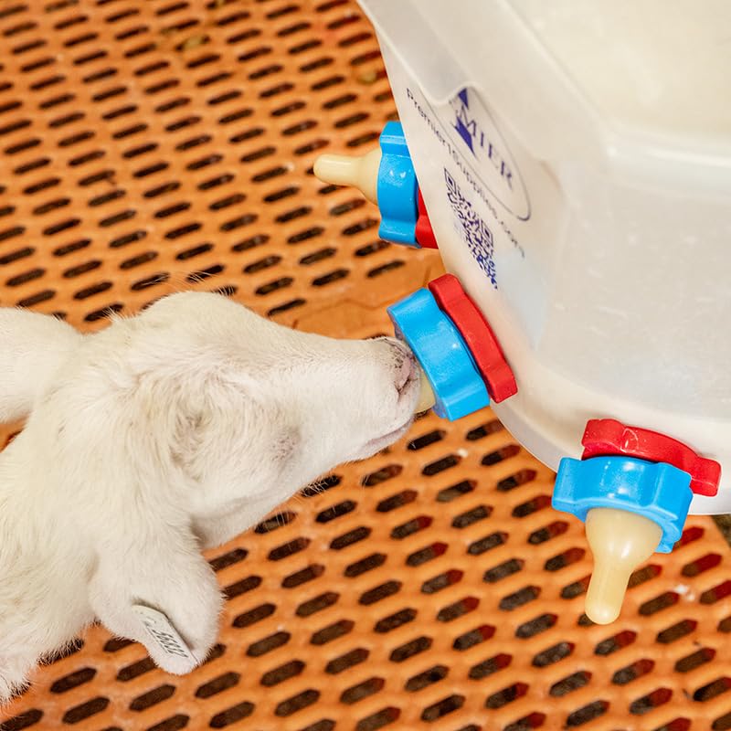 Premier 1 Lamb 'N' Goat Kid Prima Orphan Feeding Bucket – 2 Gal, Round | 3 nipple holes. See-through bucket for easy milk monitoring. Easy to clean. For orphan lambs & goat kids. - size: 2 Gallon Round - 3 Holes