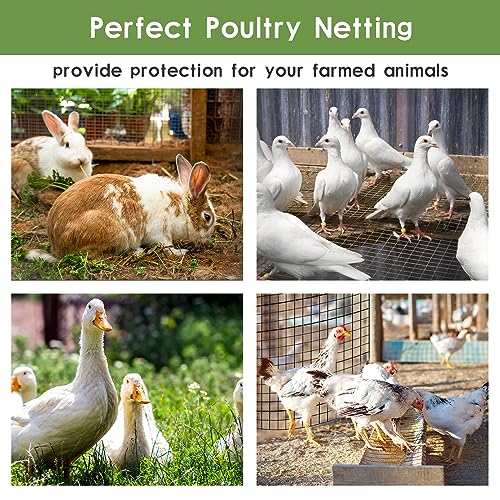 Tongmo 16" x 100' Black Hardware Cloth, 1inch Mesh Chicken Wire Fence, 19 Gauge Vinyl Coated Wire and Welded Wire Roll,Garden Fence, Poultry Netting for Rabbit/Duck/Chicken Coop