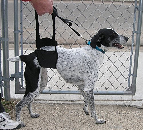 GINGERLEAD Dog Support Sling Rear Leg Harness, SM Male, Machine Wash & Dry | Fits Small to Medium Size Pets or Larger Barrel-Chested Breeds like Boxers, Bullies. Male Dachshunds use XS Size. Made in USA - size: Small - Male