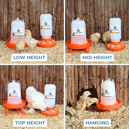 Lil'Clucker 1L Chick Feeder, 1.5L Chicken Waterer - No Leakage Chick Feeder and Waterer Kit, Hanging Baby Chick Waterer, Durable Chicken Water Feeder, Chicken Feeder and Waterer Set, Poultry Waterer - color: Orange