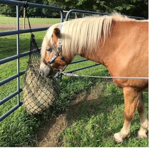 Derby Originals Large 42" Premium Poly Superior 2" Hole Slow Feed Horse Hay Net (42", Green Apple) (71-9193-GRA-42IN) - color: Green Apple
