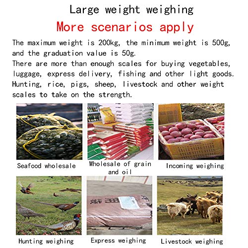 Hanging Weight Scale Industrial Heavy Duty for Farm, Hunting, Bow Draw Weight, Big Fish & Hoyer Lift with Accurate Sensor Digital, Professional (660 LBS) 2