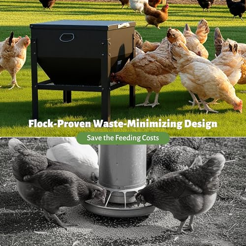 KOL 80LBs Chicken Feeder No-Waste, Galvanized Steel Large Capacity Chicken Feeder, Portable Poultry Feeder with Waterproof Lid for Hens and Roosters, Coops & Outdoors