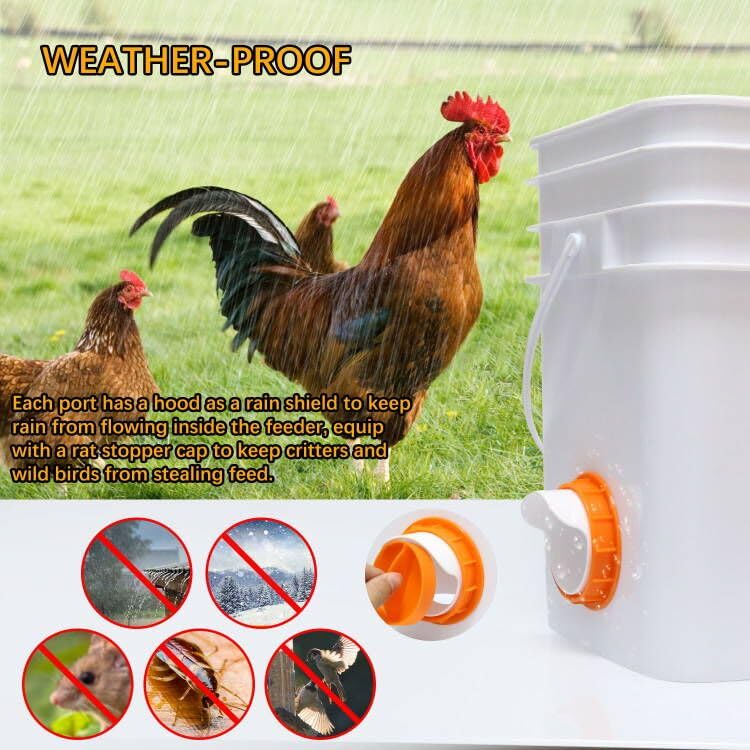Chicken Feeder Port 12 Pack Orange, Solar Fan for Chicken Coop with Battery & Timer