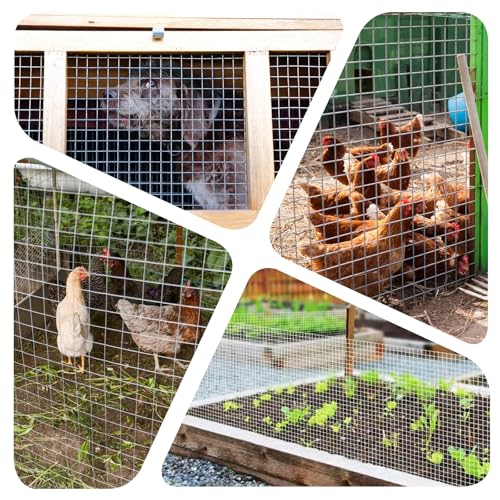 Galvanized Hardware Cloth 1/2 inch 12'' x 10' (19 GA), Chicken Wire Fence for Pens, Coops, Rabbit/Snake Fences, Supports Garden Poultry Animal Netting Cage - size: 1/2" 19ga 12in x 10ft