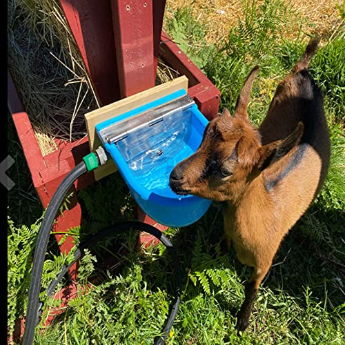 Automatic Water Bowl Livestock Waterer for Horse Cattle Goat Sheep Dog | 4L Large Plastic,Sheep Water Trough Bowl With Drainage Hole&39.37 inch Pipe,Float Valve Auto Refill,Yard Farm Outdoor Use