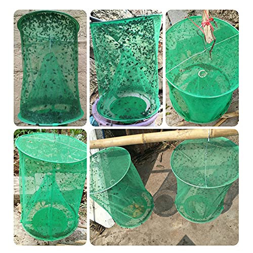 Ranch Fly Trap Outdoor Hanging Reusable with Fishing Apparatus | Food Bait Tray Catcher Cage for Indoor or Outdoor Family Farms, Park (6 Pack) - style: 6 pack