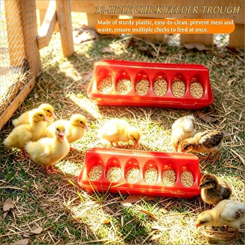 Chick Starter Kit with 75w Heat Lamp, 5-in-1 Baby Chicken Brooder Supplies | Feeder & Waterer Set, Perch with Mirror for Coop Brooder Poultry Chick Duck Quail Bird