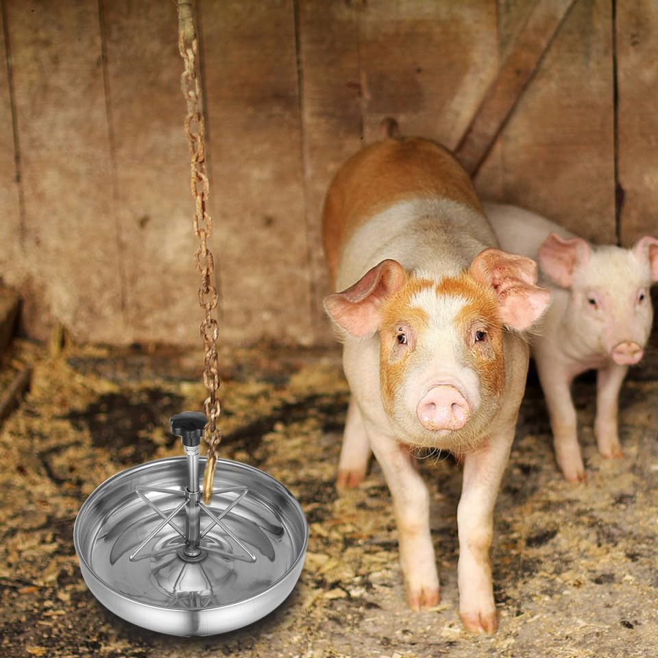 Stainless Steel Feeding Bowl Trough for Livestock and Pigs 9.84X9.84X3.54 Inch Multi-Compartment Rust Proof Farm Feeder Easy to Clean