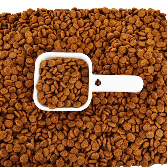 EveryYay by Petco Serve & Preserve Food Storage 50 lbs. - size: Large