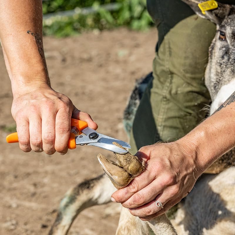 Premier 1 ExoTrim™ Serrated Hoof Trimmer (Pack of 2) - size: 7.5 inches (Length) (Pack of 2)