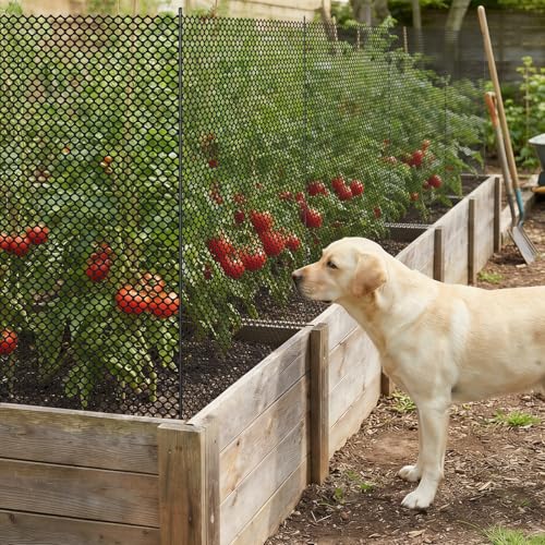 SUNYRISY 40in x 98.4ft Garden Mesh Fence Temporary Fencing | Outdoor Dog Fence with Steel Stakes, Chicken Fencing Plastic Netting Animal Barrier for Backyard Poultry Pet, Black Diamond - color: Black Diamond