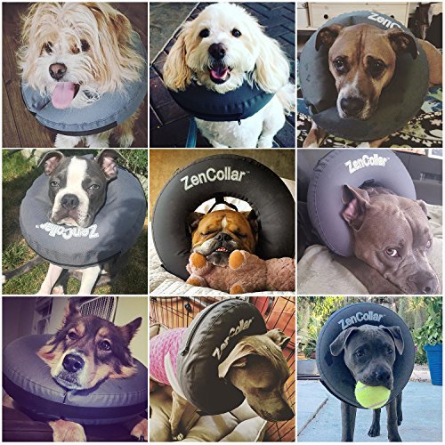 ZenPet Recovery Inflatable Collar for Dogs & Cats – Soft, Comfortable, Safe & Stress-Free Healing Alternative E-Collar After Surgery, Adjustable Donut Design, Secure Fit (XLarge) - size: X-Large