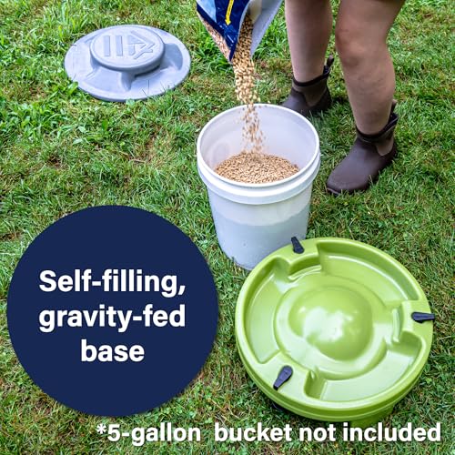 American Home Self-Filling Farmstead Chicken Drinker, Waterer, Feeder Automatic Chicken Coop Water and Feed Dispensers, 5 Gallon Capacity (Bucket Not Included), Weather-Resistant Design - size: Bundle