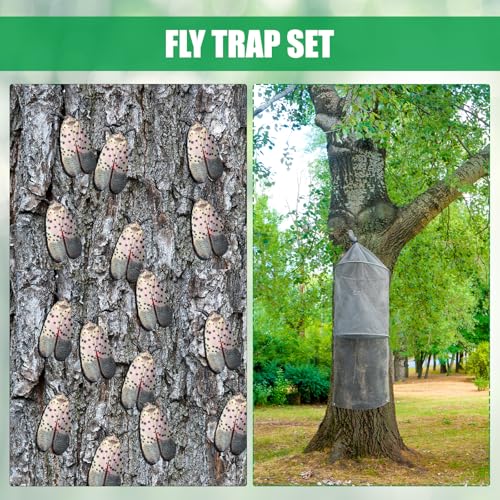 Qualirey 4 Pack Spotted Lanternfly Trap Lanternfly Killer for Tree,Grey | Circle Traps for Lantern Flies Mesh Lanternfly Catcher with Jute Rope and Nails Outdoor Insect Bug Trap to Protect Trees - color: Gray
