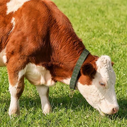 DOITOOL Cow Collar Canvas Calf Cattle Neck Collar, Adjustable Nylon Thickened Livestock Traction Neck Strap with 2 Rows Metal Buckle for Farm Goat Horse Goat Sheep Camel, Green