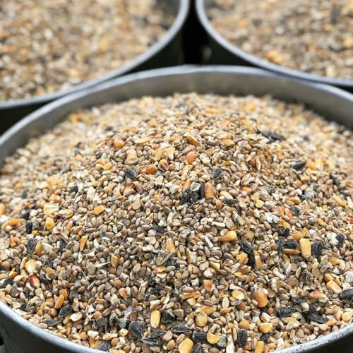 Non-GMO Whole Grain Layer Blend 16% - Chicken Feed for Laying Hens and Ducks - Includes Essential Oils, Herbs, Oyster Shells, Vital Minerals, and Omega 3, 40lb - size: 40 Pound (Pack of 1)