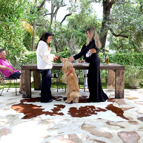 Chromatic Brown and White Cow Hide Rug 6x7 ft, Real Hide | Real cowhide rug, chromatic sheen on brown and white, no two alike. Cow skin statement anchor for modern interiors - color: Chromatic Brown & White, size: 6' x 7'