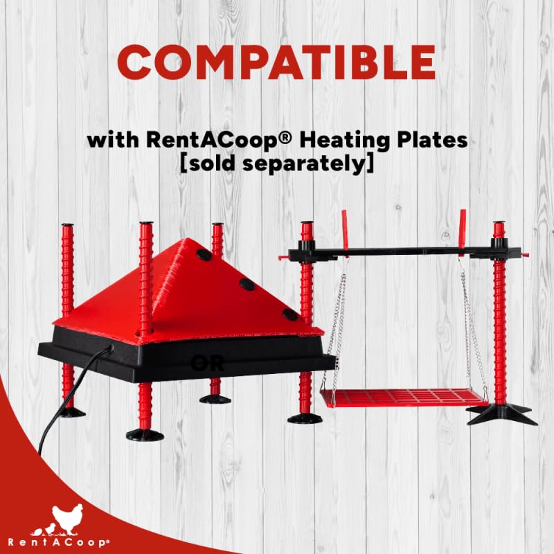 RentACoop Chick Swing