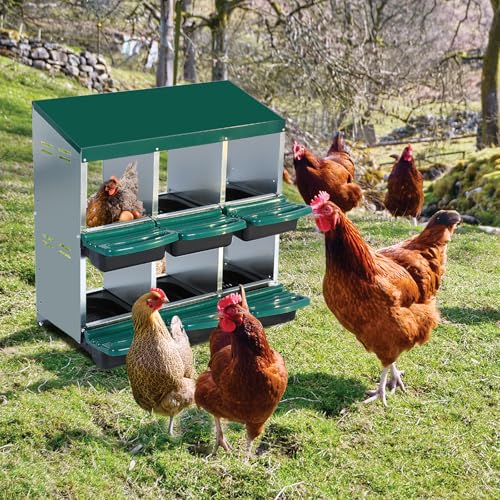 6-Hole Chicken Nesting Box with Removable Lid, Metal Chicken Coop with Roll Away Design/Easy Egg Collection/Ventilation Holes, for Chicken Coops, Duck Coops and Hens
