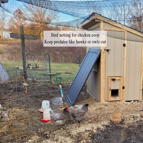 Bird Netting for Chicken Coop 30x30 Ft, 1/2" Mesh Aviary Netting | Aviary Netting - size: 30x30Ft-1/2"