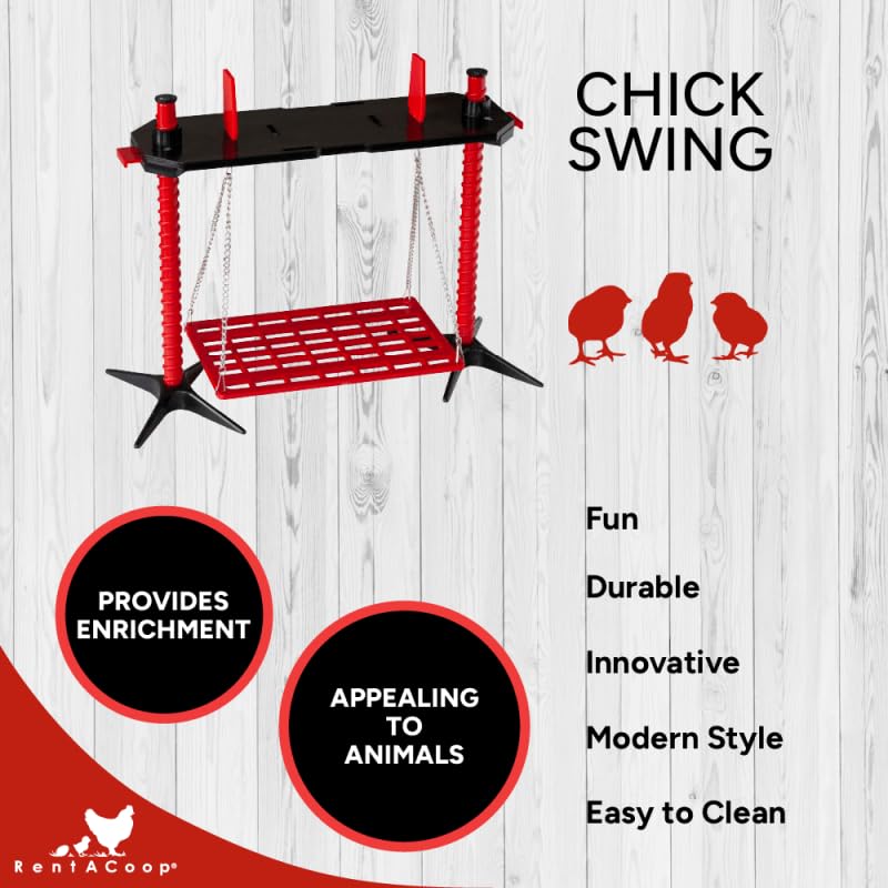 RentACoop Chick Swing