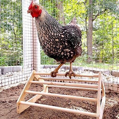 Chick Perch Strong Wooden Jungle Gym Roosting Bar Made in USA!!! Chicken Toys for Coop and Brooder for Baby Chicks El Pollitos La Pollita Pollos Gallinas Polluelos