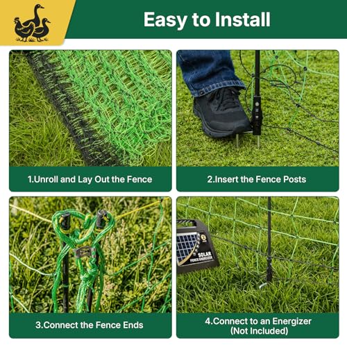 Electric Poultry Netting 47.5" H x 164' L, Portable Electric Chicken Fence for Chickens, Ducks, Geese & Turkey, Anti-Predator Poultry Net Fencing with Double Spike Posts for Backyard, Farm & Homestead - size: 47.5" H x 164' L Poultry