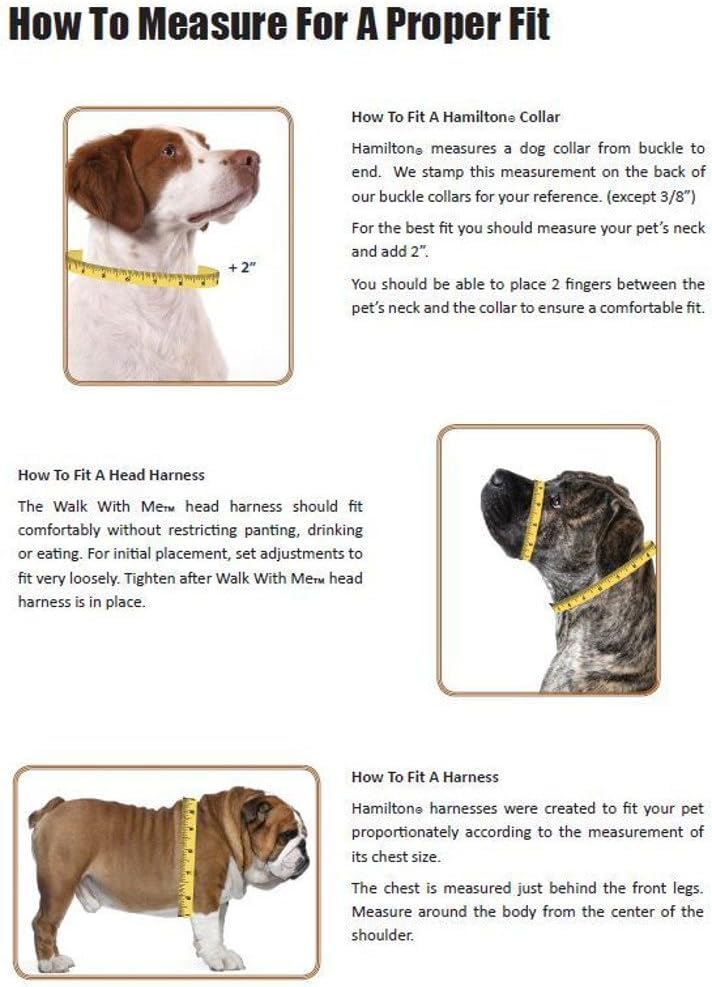 Hamilton Adjustable Nylon Dog Harness, Small 5/8" x 12-20", Red | Premium Quality Nylon, Durable Buckle, Sturdy D-Ring, No Pull, 4 Point Adjustable, Small & Medium Breed Dogs - color: Red, size: S, 5/8" x 12-20"