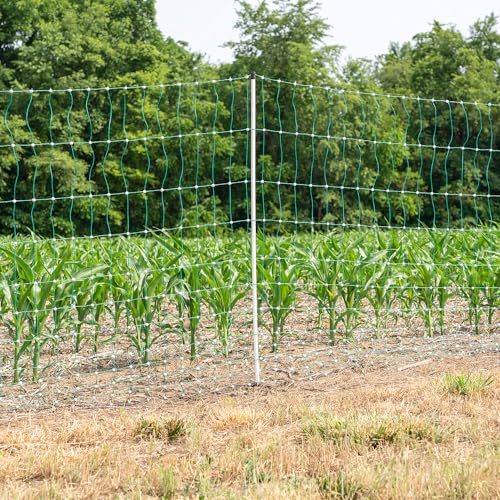 48" H Electric Fence Poultry Netting 12/48/3, Green (82' Roll) - style: 82' Roll