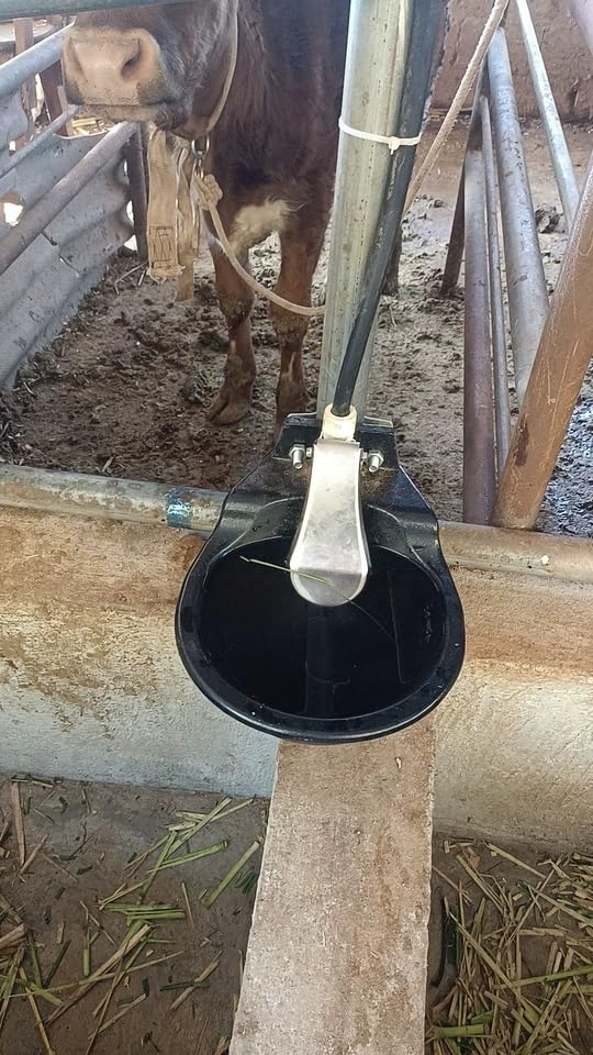 Automatic Livestock Waterer, Heavy Duty Cast Iron Water Trough with Push-Paddle for Horse, Cow, Goat, Pig,Dog, Livestock Water Bowl,1.8L Capacity